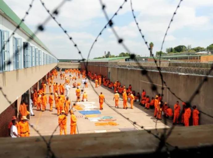MPs slam Correctional Services Dept's failure to prevent deaths of inmates by suicide